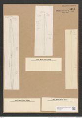 Nitzschia angularis var. accidentalis Grun. (de-Toni-Nr.: Genus 47, Species 2086) Zeichnungen Sammlung Grunow Nr. 4145 (NHMW-BOT-W0372025)